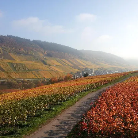 Maison d'hôtes Weingut-brennerei-gaestehaus Emil Dauns Reil