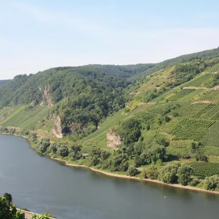 Weingut-brennerei-gaestehaus Emil Dauns Vendégház
