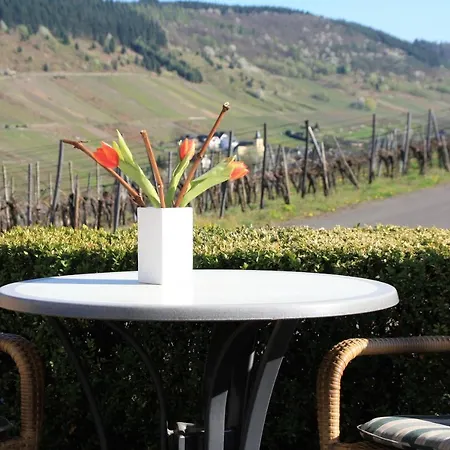 Pensión Weingut-brennerei-gaestehaus Emil Dauns Reil