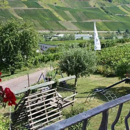 Maison d'hôtes Weingut-brennerei-gaestehaus Emil Dauns *