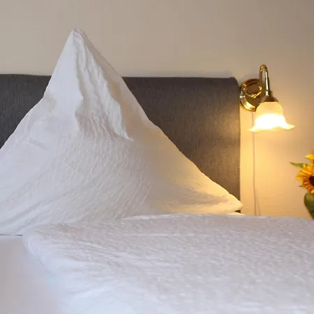 Weingut-brennerei-gaestehaus Emil Dauns 3* Reil