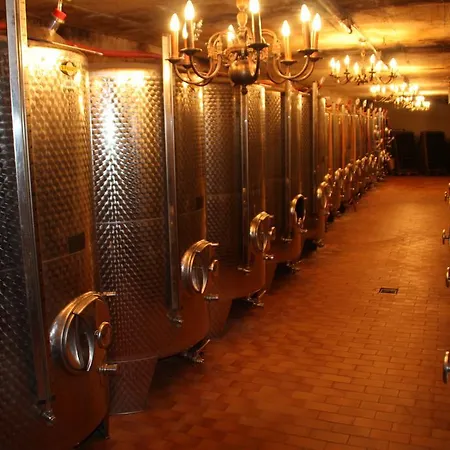 Weingut-brennerei-gaestehaus Emil Dauns Pensión