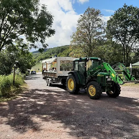 Weingut-brennerei-gaestehaus Emil Dauns 3* Reil