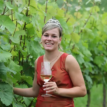 Pensjonat Weingut-brennerei-gaestehaus Emil Dauns 3*