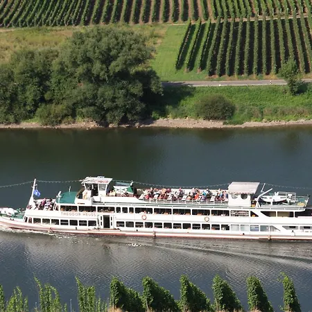 Maison d'hôtes Weingut-brennerei-gaestehaus Emil Dauns *