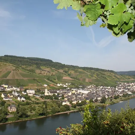 Weingut-brennerei-gaestehaus Emil Dauns 3*