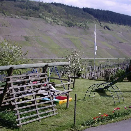 Weingut-brennerei-gaestehaus Emil Dauns Reil