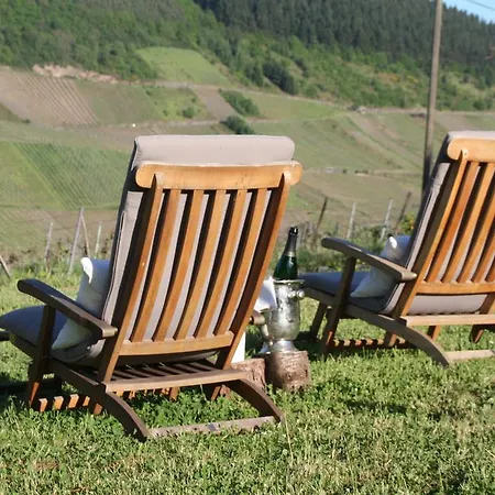 Pensión Weingut-brennerei-gaestehaus Emil Dauns Reil