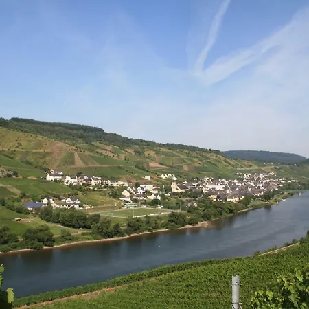 Vendégház Weingut-brennerei-gaestehaus Emil Dauns