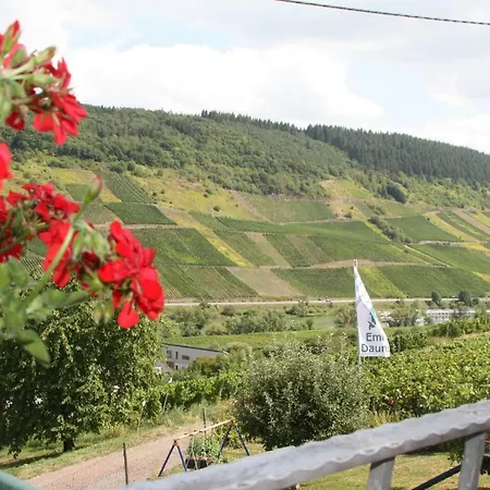 Weingut-brennerei-gaestehaus Emil Dauns 3*