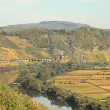 Maison d'hôtes Weingut-brennerei-gaestehaus Emil Dauns *