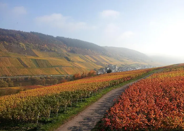 Guest house Weingut-brennerei-gaestehaus Emil Dauns Reil