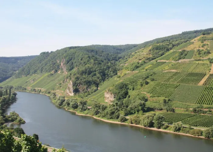 Weingut-brennerei-gästehaus Emil Dauns Gasthof