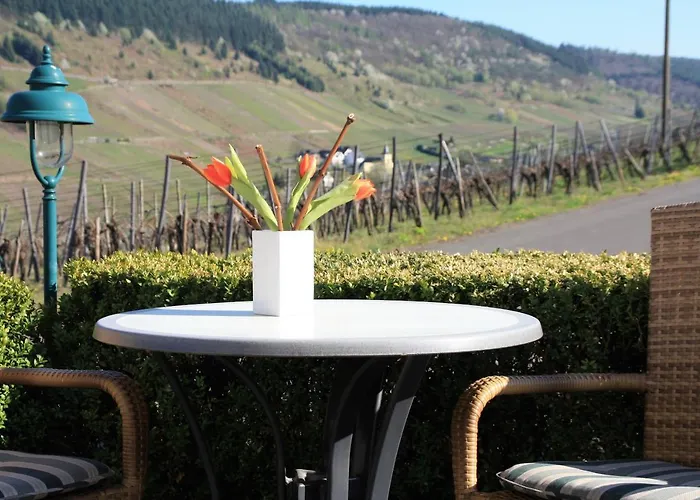 Guest house Weingut-brennerei-gaestehaus Emil Dauns Reil