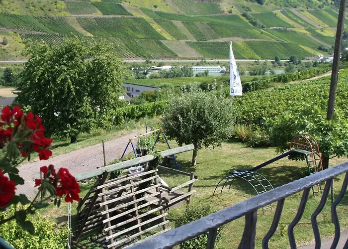 Gasthof Weingut-brennerei-gästehaus Emil Dauns 3*