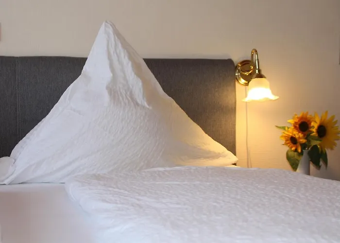 Weingut-brennerei-gaestehaus Emil Dauns 3* Reil