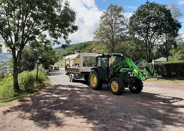 Weingut-brennerei-gästehaus Emil Dauns 3* Reil