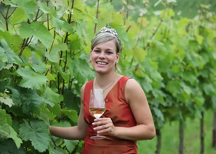 Gasthof Weingut-brennerei-gästehaus Emil Dauns 3*