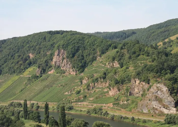 Weingut-brennerei-gästehaus Emil Dauns Reil