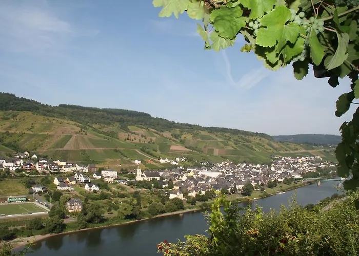 Weingut-brennerei-gaestehaus Emil Dauns 3*