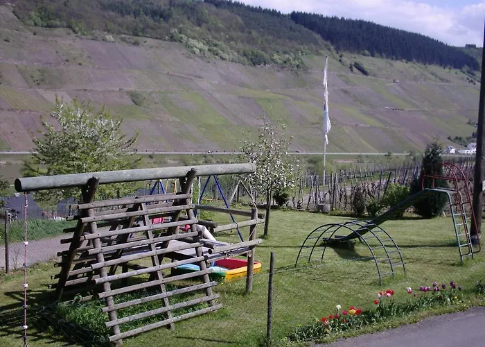 Weingut-brennerei-gaestehaus Emil Dauns Reil