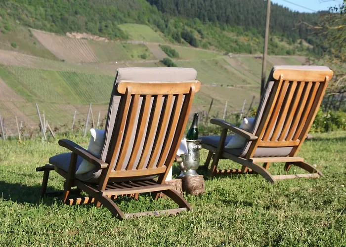 Gasthof Weingut-brennerei-gästehaus Emil Dauns Reil