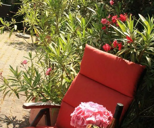 Weingut-brennerei-gaestehaus Emil Dauns Guest house 3*