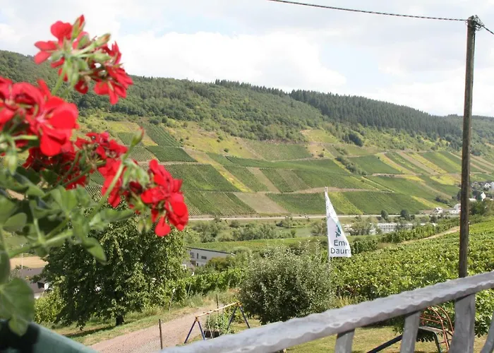 Weingut-brennerei-gaestehaus Emil Dauns 3*