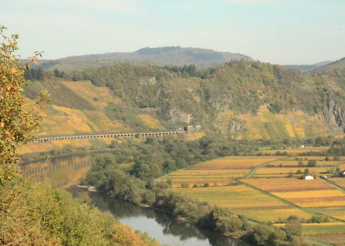 Guest house Weingut-brennerei-gaestehaus Emil Dauns 3*